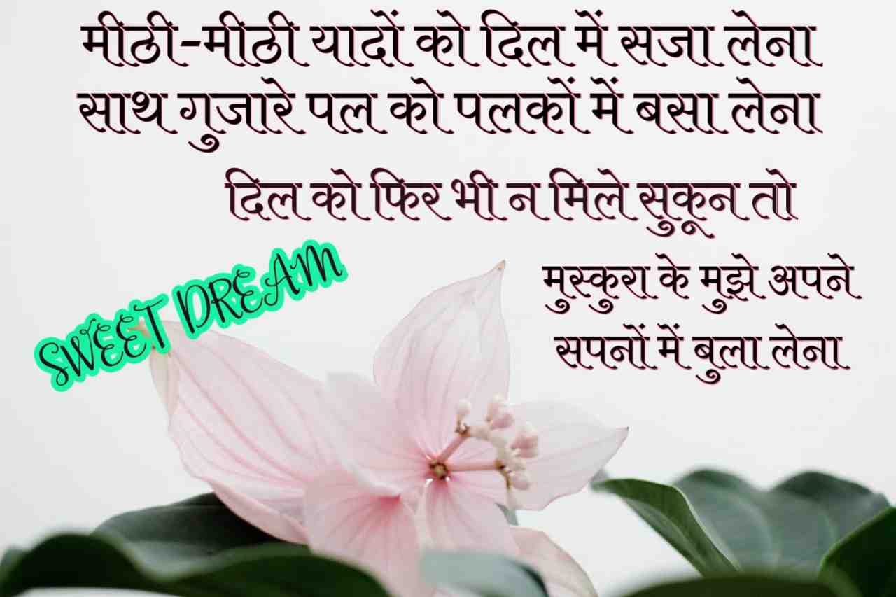 Good Night Shayari