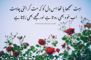 Urdu Shayari