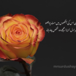 Urdu Shayari